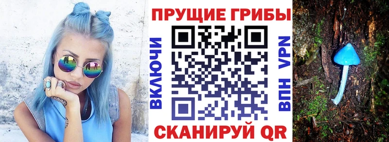 Купить закладки  Кологрив  Галлюциногенные грибы мицелий 