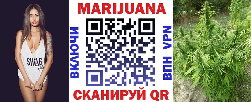 Купить закладки  Кологрив  Шишки марихуана индика 